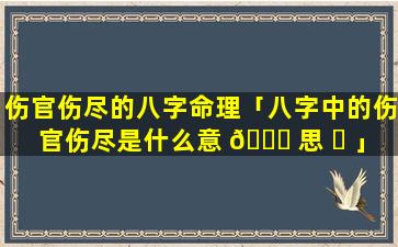 伤官伤尽的八字命理「八字中的伤官伤尽是什么意 🕊 思 ☘ 」